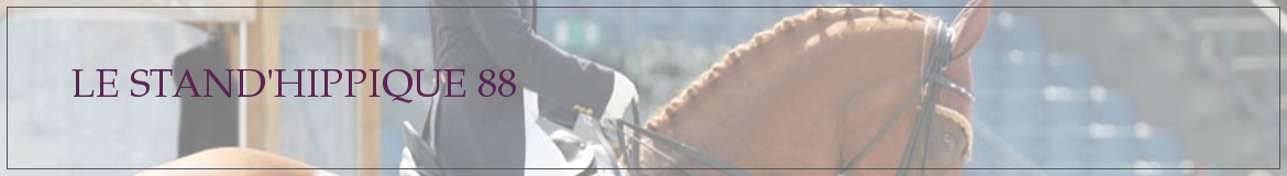 LE STAND'HIPPIQUE 88